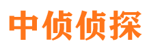 施秉市婚外情取证